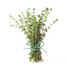 Thyme Sprig